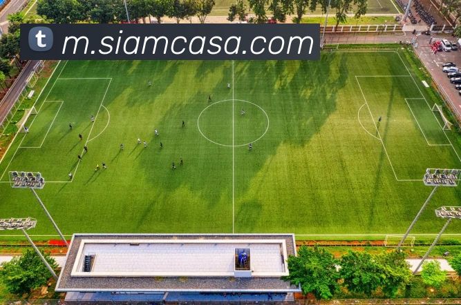亚星网入口APP 封面图